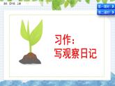 部编版语文四年级上册《习作：写观察日记》课件