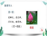 （教学课件）小池-人教版语文一年级下册第六单元教学课件