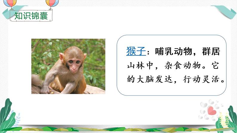 （教学课件）17 小猴子下山-人教版语文一年级下册第七单元第3页