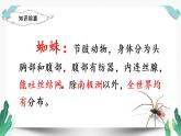 （上课课件）20蜘蛛开店-人教版语文二年级下册第七单元教学课件