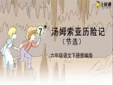 第7课《汤姆·索亚历险记（节选）》（教学课件）-六年级语文下册部编版