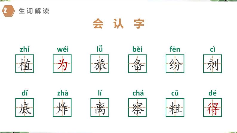 3 植物妈妈有办法（课件）二年级上册语文 部编版07