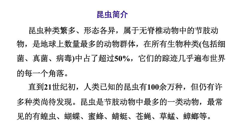 部编版二年级语文下册--11 我是一只小虫子（课件）第2页