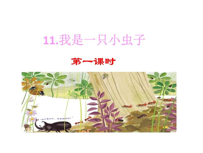 部编版二年级语文下册--11 我是一只小虫子（优质课件1）第1页