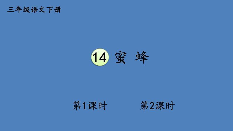 部编版三年级语文下册--14 蜜蜂（优质课件1）第1页