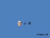 部编版三年级语文下册--15 小虾（优质课件1）