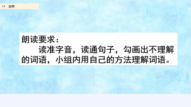 部编版四年级语文下册--11 白桦（精品课件）第3页