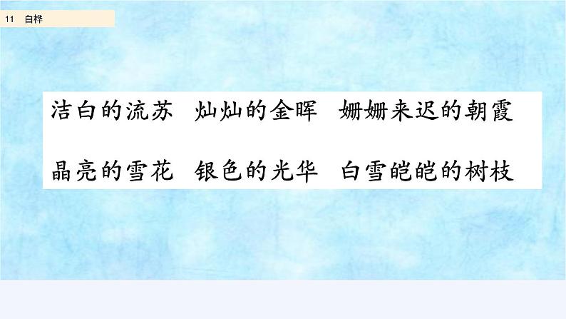 部编版四年级语文下册--11 白桦（精品课件）第4页