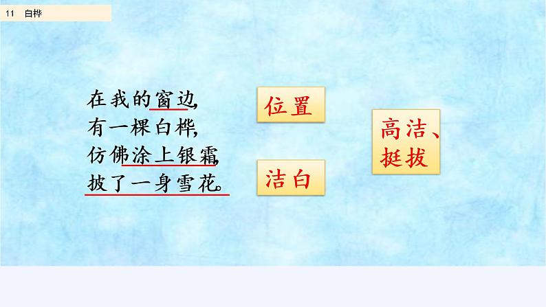 部编版四年级语文下册--11 白桦（精品课件）第8页