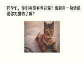 部编版四年级语文下册--13 猫  （精品课件）