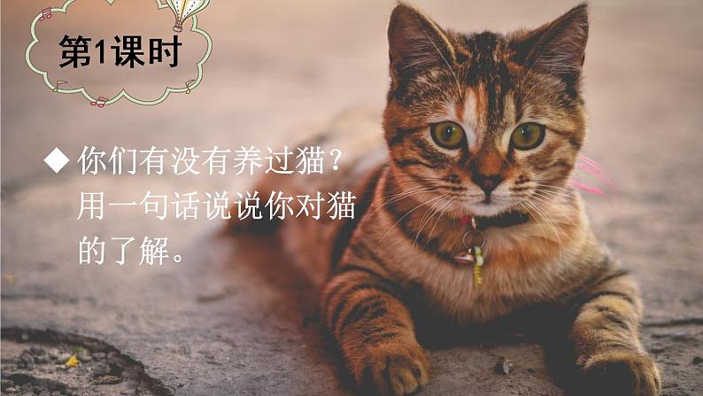 部编版四年级语文下册--13 猫（精品课件）01