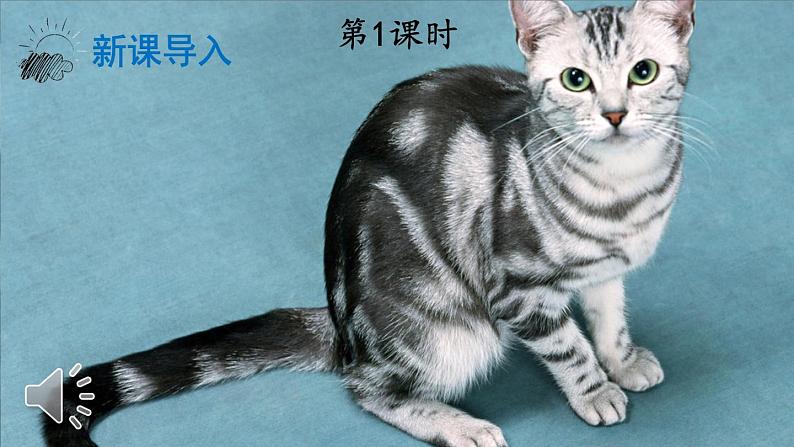 部编版四年级语文下册--13 猫（精品课件1）02