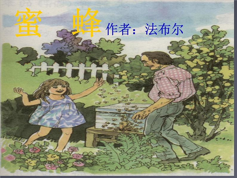 部编版三年级语文下册--14.蜜蜂（课件）01