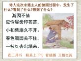 部编版六年级语文下册--古诗词诵读7.游园不值（课件）