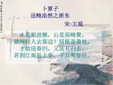 部編版六年級(jí)語(yǔ)文下冊(cè)--古詩(shī)詞誦讀8.卜算子·送鮑浩然之浙東（課件）