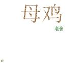 部编版四年级语文下册--14.母鸡（课件1）