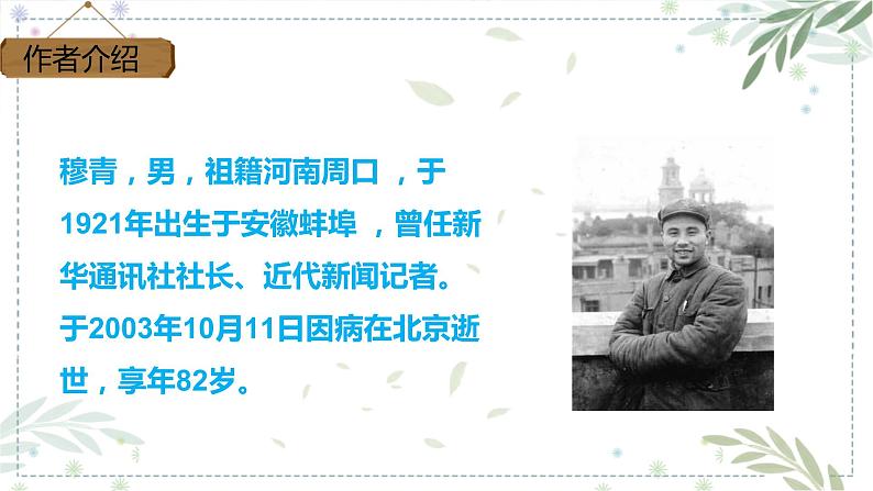 部编版五年级下册语文 20 《金字塔》 课件07