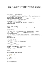 部编版语文二年级下册句子专项全能训练（无答案）