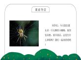 部编版二年级语文下册第七单元课文《蜘蛛开店》PPT课件
