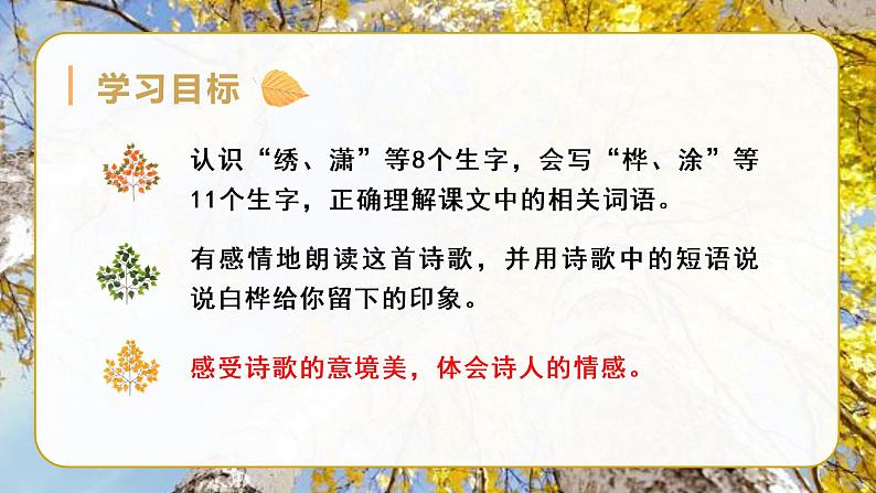 11 白桦教学课件第6页