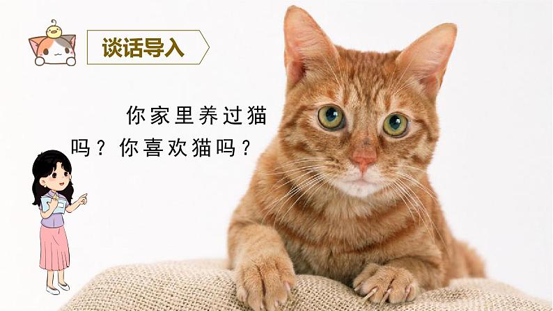 13 猫教学课件第1页