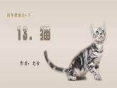 13 猫教学课件
