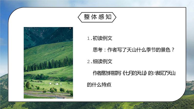 部编版四年级语文下册习作例文《七月的天山》PPT课件03