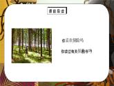 部编版五年级语文下册习作《神奇的探险之旅》PPT课件