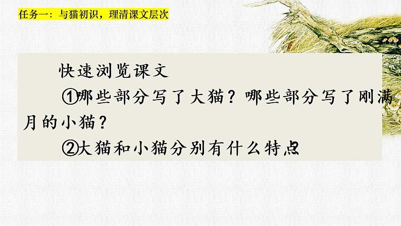 2022-2023学年部编版四年级下册语文13.猫 公开课课件07