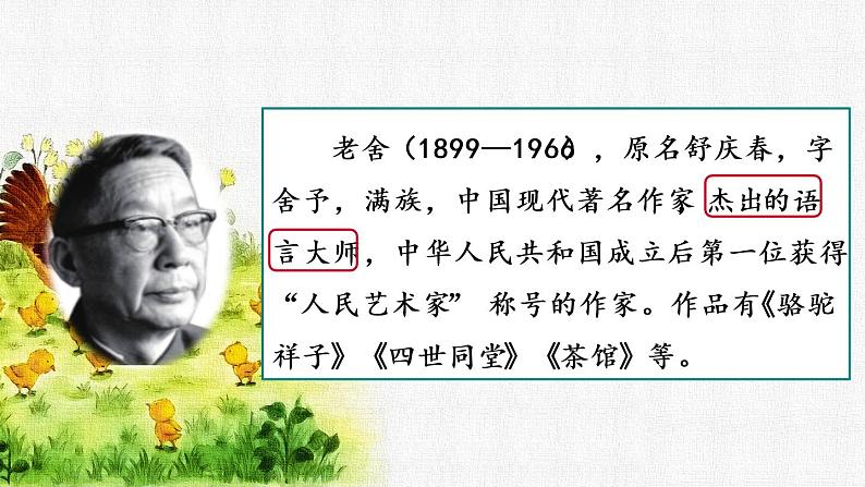 2022-2023学年部编版语文四年级下册公开课课件 第四单元14.母鸡第2页