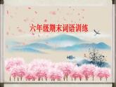六年级期末词语训练课件PPT