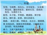 习作：我的自画像课件PPT