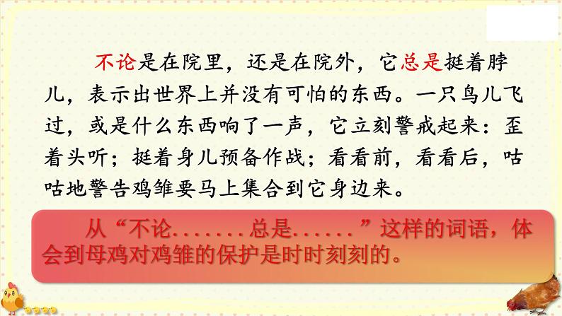 语文部编版4年级下册14课 母鸡1课件PPT第7页