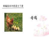 语文部编版4年级下册14课 母鸡13课件PPT