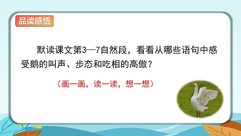 语文部编版4年级下册15课 白鹅1课件PPT04