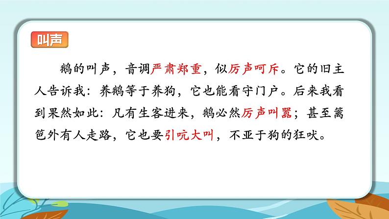 语文部编版4年级下册15课 白鹅1课件PPT06
