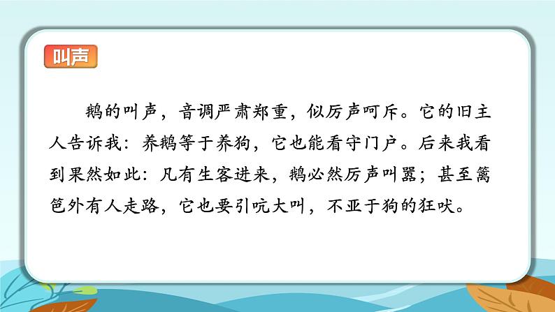 语文部编版4年级下册15课 白鹅1课件PPT08