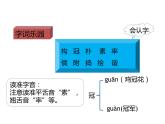 语文部编版4年级下册2课 乡下人家4课件PPT