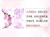 语文部编版4年级下册4课 三月桃花水2课件PPT