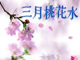 语文部编版4年级下册4课 三月桃花水3课件PPT