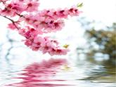 语文部编版4年级下册4课 三月桃花水3课件PPT