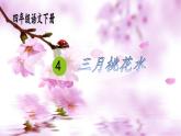 语文部编版4年级下册4课 三月桃花水5课件PPT
