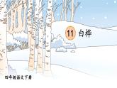 语文部编版4年级下册11课 白桦2课件PPT