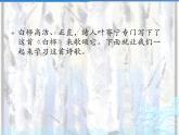 语文部编版4年级下册11课 白桦3课件PPT