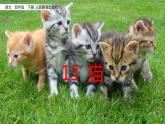 语文部编版4年级下册13课 猫4课件PPT