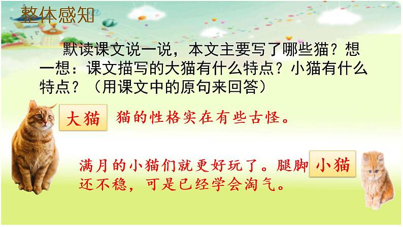语文部编版4年级下册13课 猫5课件PPT第6页