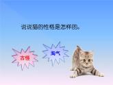 语文部编版4年级下册13课 猫7课件PPT