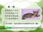 语文部编版4年级下册13课 猫8课件PPT