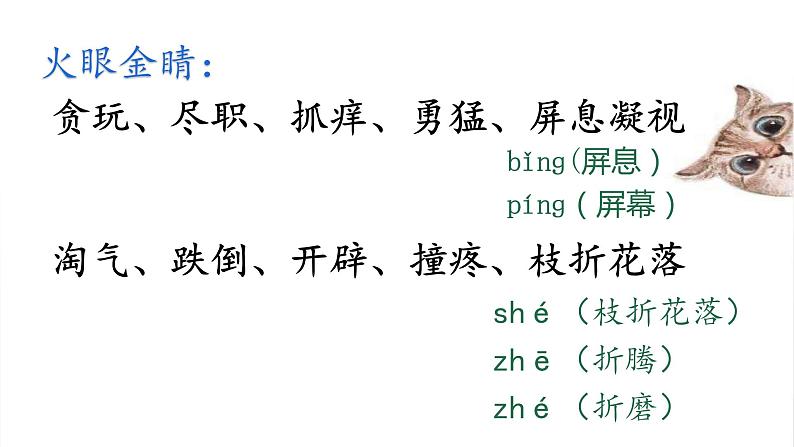 语文部编版4年级下册13课 猫9课件PPT03