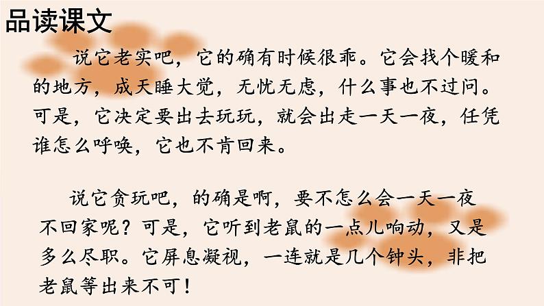语文部编版4年级下册13课 猫9课件PPT06